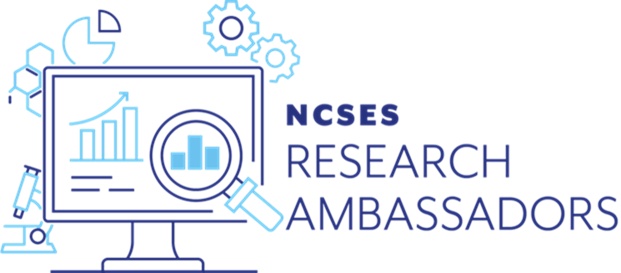 NSF Data Analyst & Statistics Fellowship